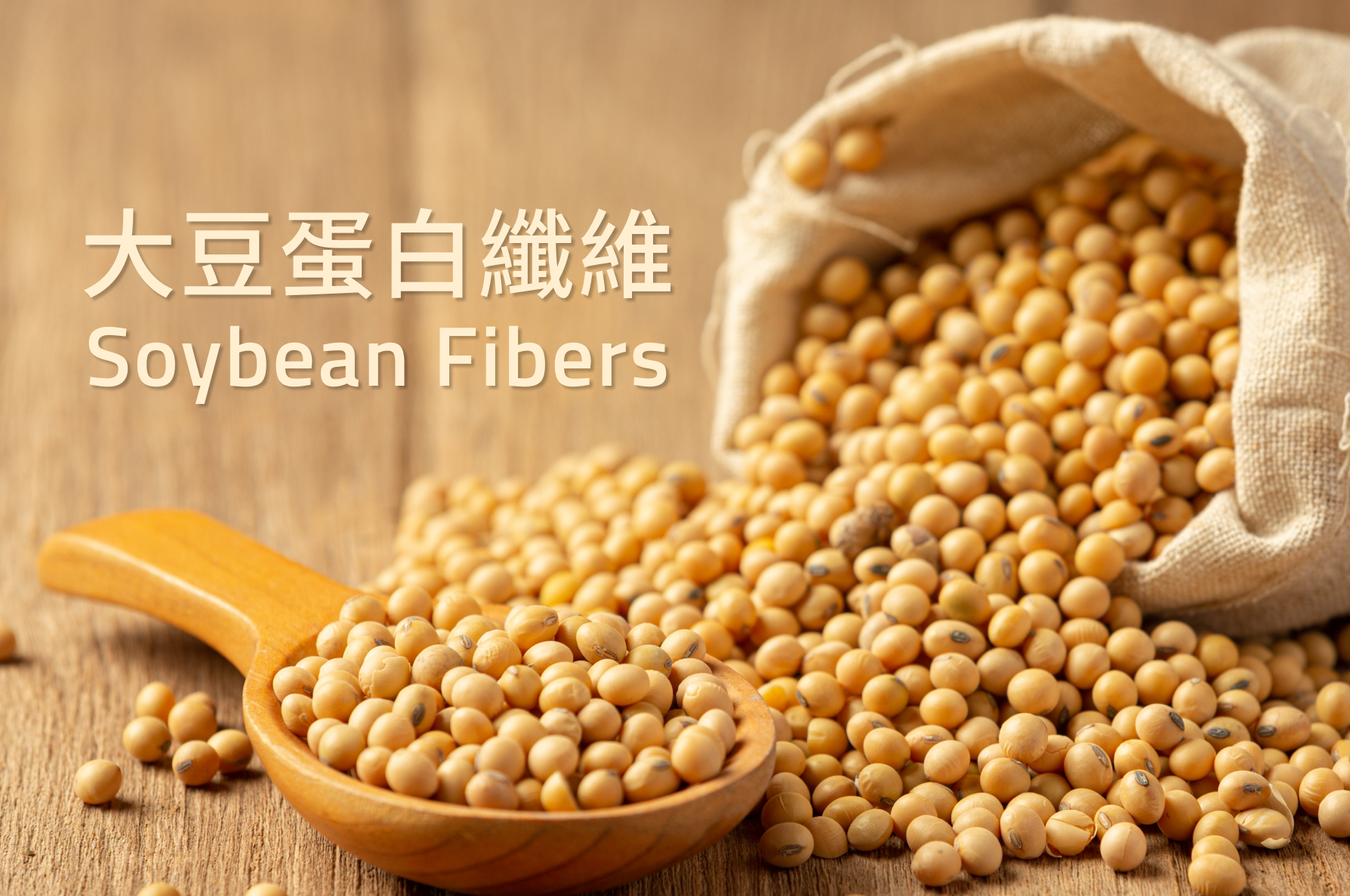 Soybean Fibers - 大豆蛋白纖維
